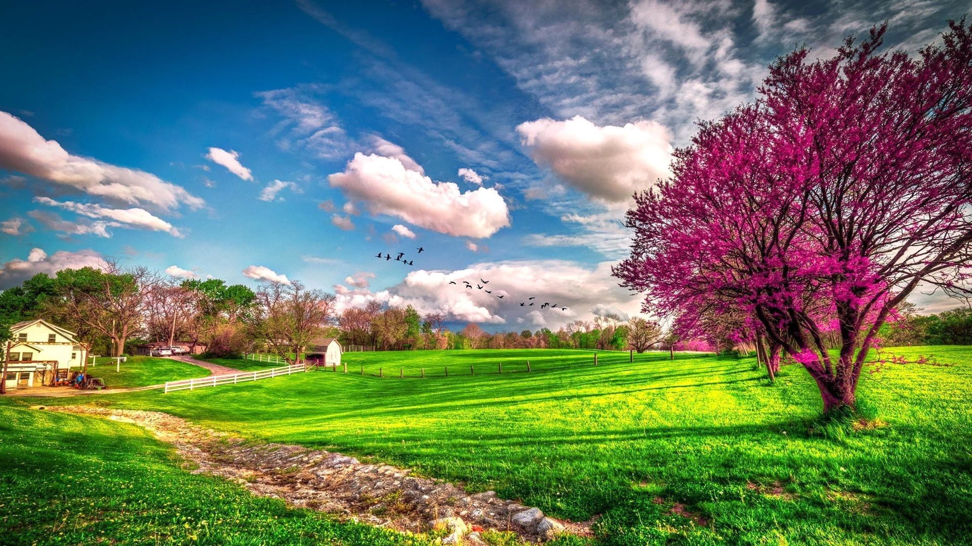 Background